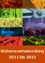 Bistumsversammlung 2011-2012 | Das sollten wir probieren!
