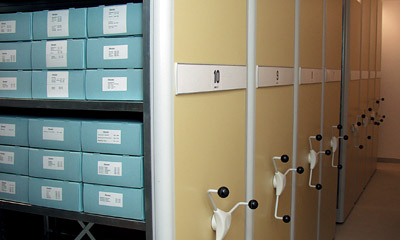 Blick auf 
Archivregale