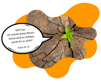 Alter Baumstamm mit vier hervorsprießenden grünen Blättern. Direkt daneben eine Sprechblase mit dem Vers 43,19 aus dem Buch Jesaja: Seht her, ich mache etwas Neues. Schon wird es sichtbar, merkt ihr es nicht.