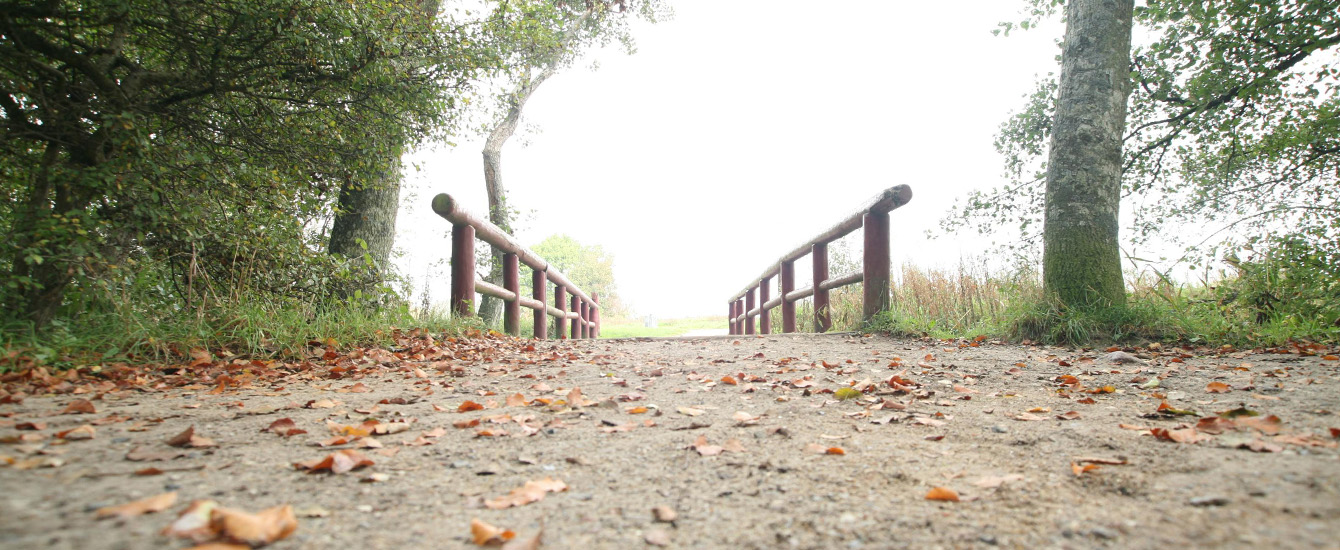 Ein Weg mit einer Brücke