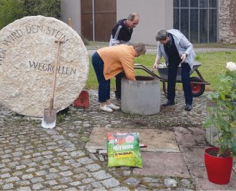 Menschen pflanzen eine Rose neben einem Stein