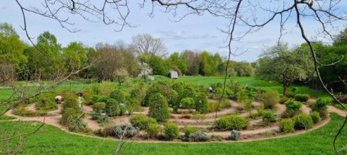 Labyrinth aus Pflanzen auf einer Wiese