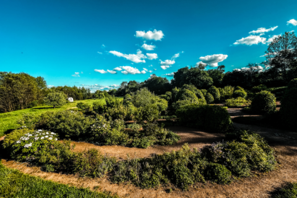 Naturlabyrinth auf einer Wiese