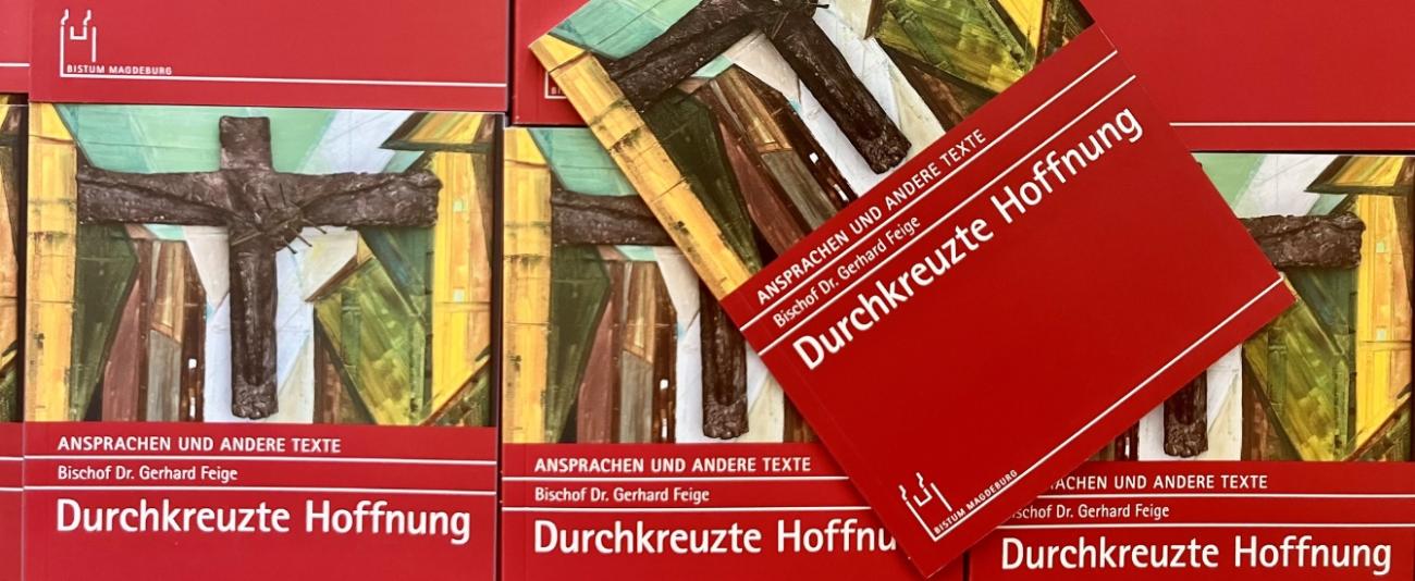 Buch_Durchkreuzte_Hoffnung_1340_550