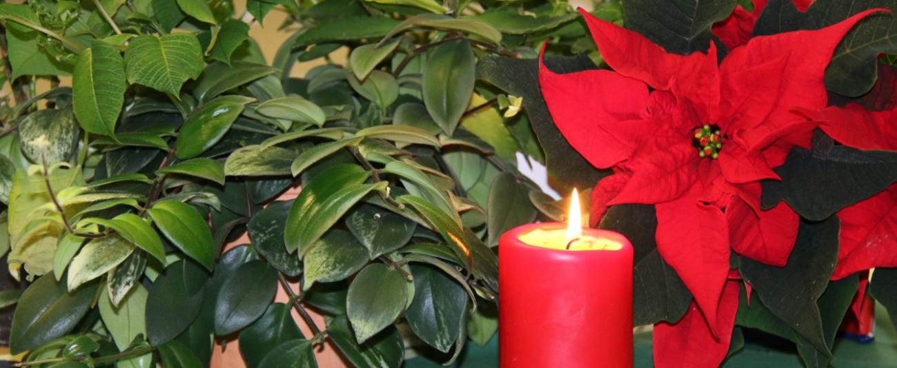 Advent_1340_550_2.JPG