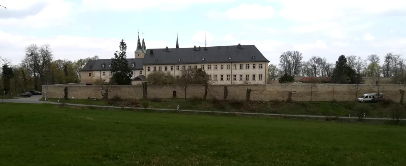 Bume_auf_der_Huysburg_1340_550