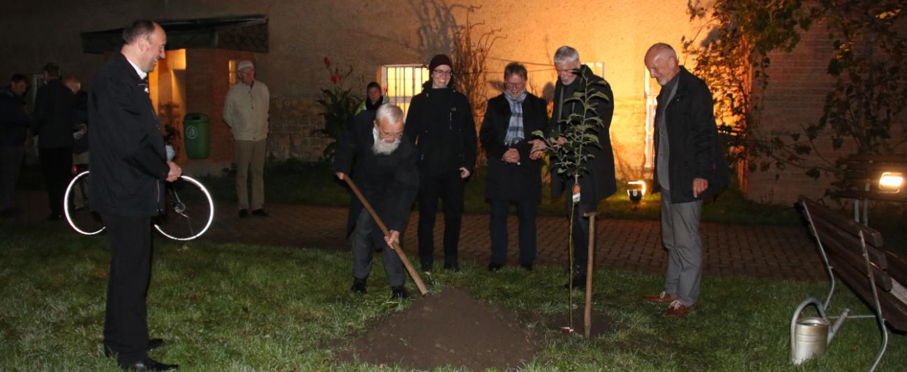 Apfelbaumpflanzen_2_1340_550