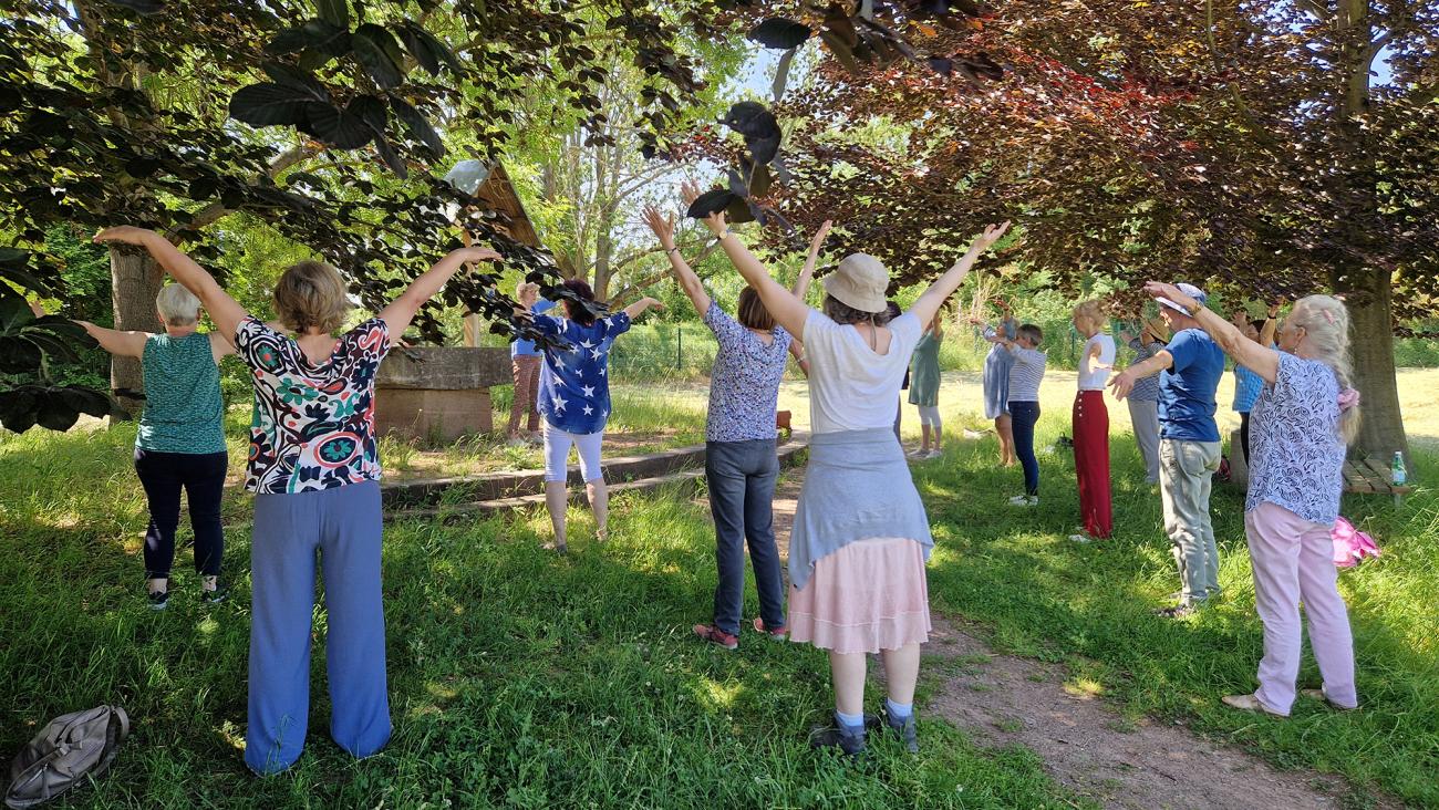 Frauen stehen im Grünen und bewegen sich