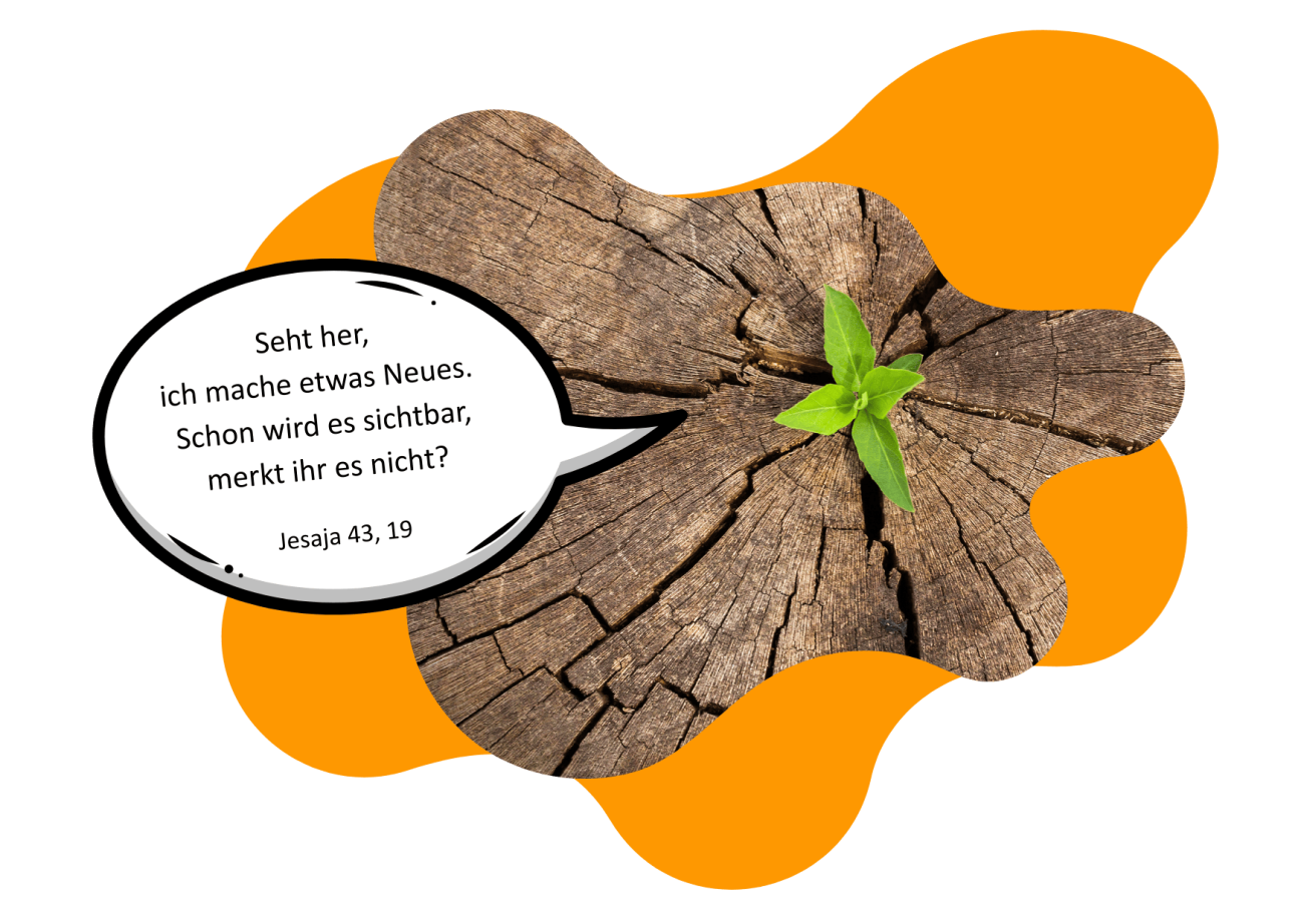 Rissige Oberfläche eines Baumstamms aus der ein grüner Spross treibt, links daneben eine Sprechblase mit dem Bibelvers aus Jesaja 43,19: "Seht her, ich mache etwas Neues. Schon wird es sichtbar, merkt ihr es nicht?"