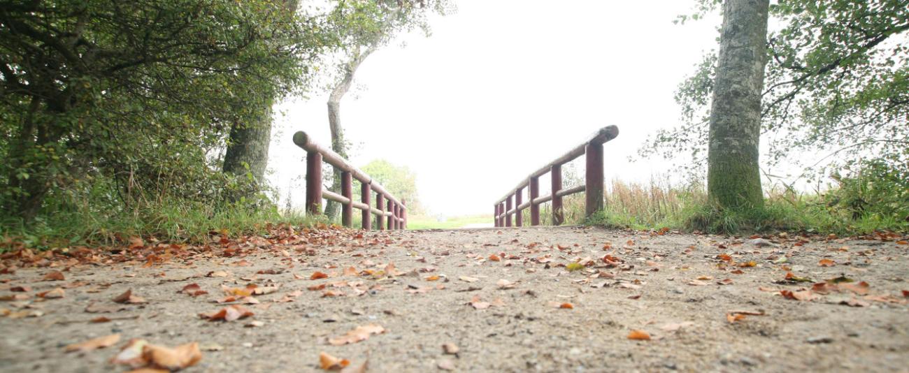 Ein Weg mit einer Brücke