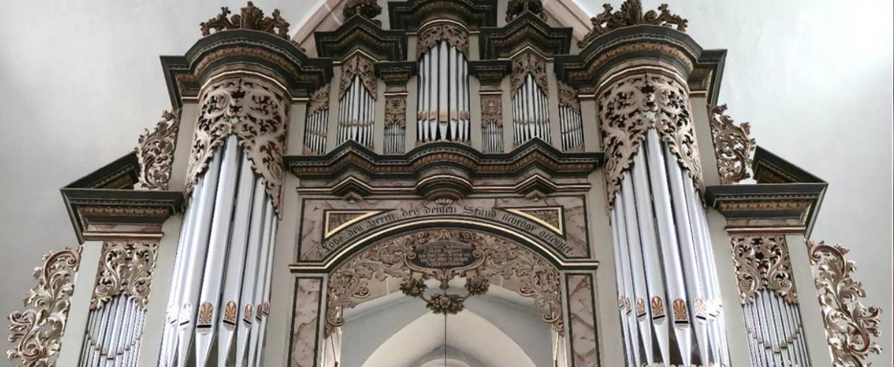Orgel von unten