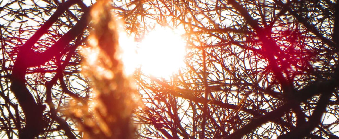 sonne