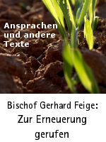 junge Pflanzen auf einem Acker